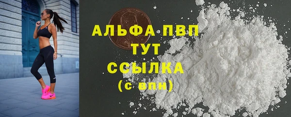 ешки Пересвет